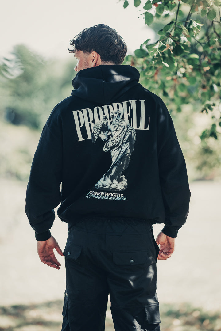 God Of The Skies Heavyweight Hoodie in Carbon black