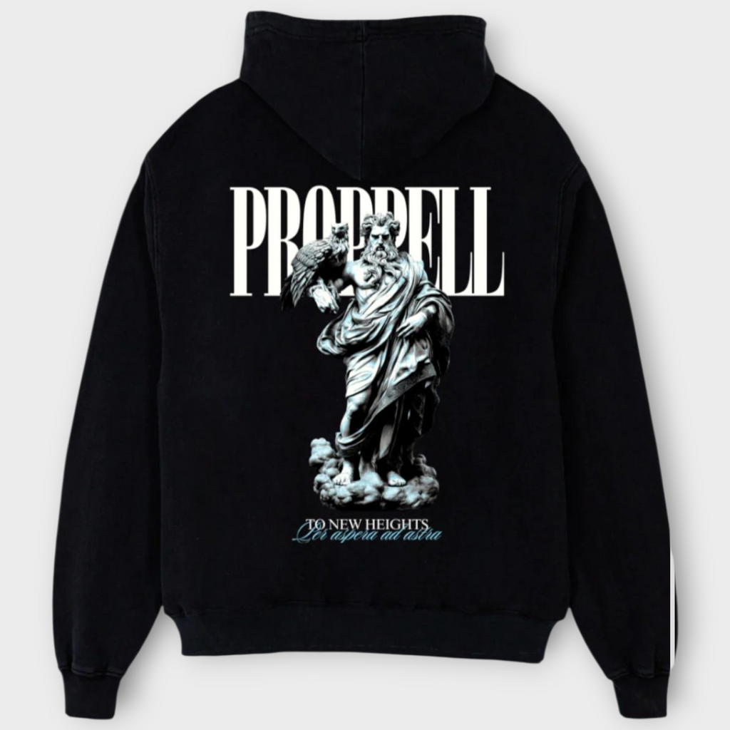 God Of The Skies Heavyweight Hoodie in Carbon black